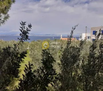Οικιστικό 3800τ.μ. προς πώληση φωτογραφία 55