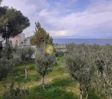 Οικιστικό 3800τ.μ. προς πώληση φωτογραφία 57