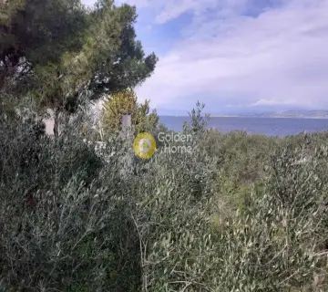 Οικιστικό 3800τ.μ. προς πώληση φωτογραφία 60
