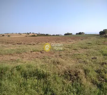 Parcel 10000m<sup>2</sup> for sale photo 2183795