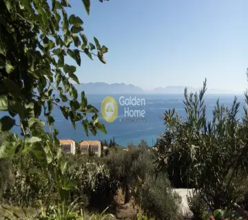 Parcel 5491m<sup>2</sup> for sale photo 9