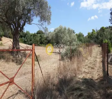 Residential 4000m<sup>2</sup> for sale photo 2016980