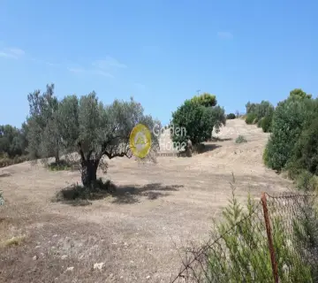 Residential 4000m<sup>2</sup> for sale photo 2016981