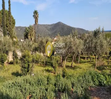 Golden Home Property Image