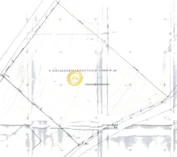 土地 2000m<sup>2</sup> for sale photo 1