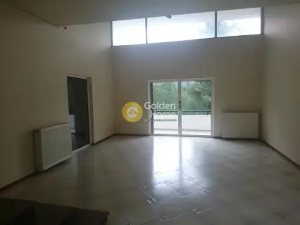 Μονοκατοικία 390τ.μ. προς πώληση φωτογραφία 14