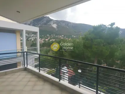 Μονοκατοικία 390τ.μ. προς πώληση φωτογραφία 43