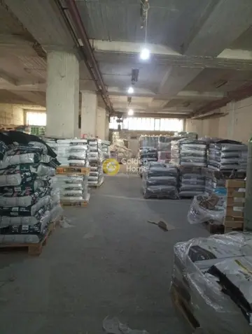 Industrial 3100m<sup>2</sup> for sale photo 3
