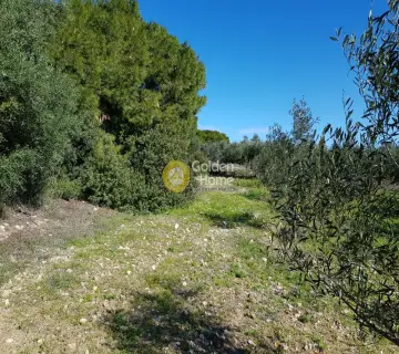 Parcel 6400m<sup>2</sup> for sale photo 17