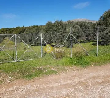 Parcel 6400m<sup>2</sup> for sale photo 31