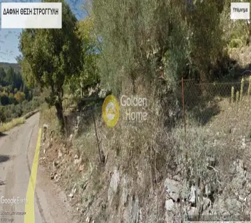 Golden Home Property Image