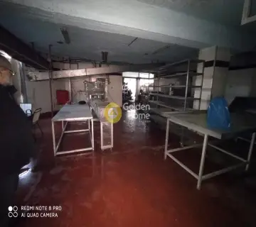 Βιομηχανικός - Βιοτεχνικός Χώρος 1230τ.μ. προς πώληση φωτογραφία 3