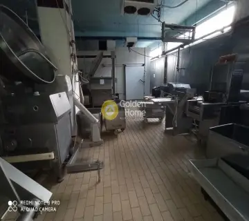 Βιομηχανικός - Βιοτεχνικός Χώρος 1230τ.μ. προς πώληση φωτογραφία 4