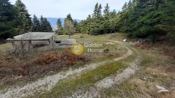 Golden Home Property Image