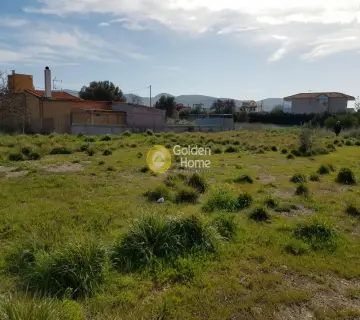 Residential 1024m<sup>2</sup> for rent photo 3