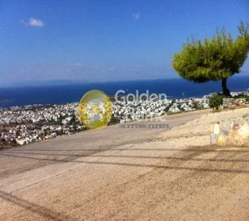 Μονοκατοικία 315τ.μ. προς πώληση φωτογραφία 4