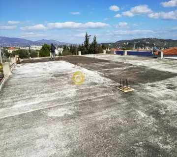 独立建筑 500m<sup>2</sup> for sale photo 11