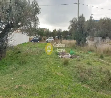 Residential 500m<sup>2</sup> for sale photo 3