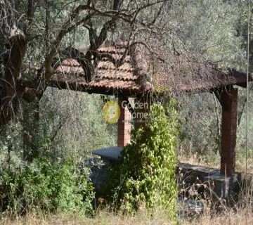 Residence complex 200m<sup>2</sup> for rent photo 3774169