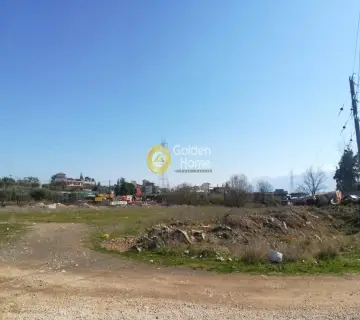Professional Plot 10000m<sup>2</sup> for rent photo 2055134