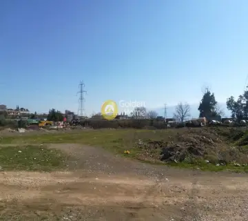 Professional Plot 10000m<sup>2</sup> for rent photo 2055135