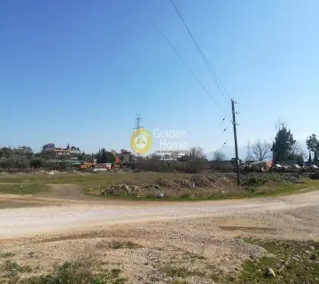 Professional Plot 10000m<sup>2</sup> for rent photo 2055136