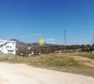 Professional Plot 10000m<sup>2</sup> for rent photo 2055137