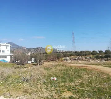 Professional Plot 10000m<sup>2</sup> for rent photo 2055139