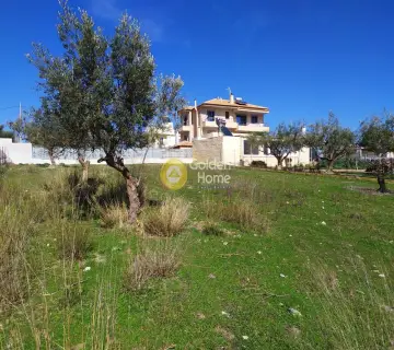 Οικιστικό 642τ.μ. προς πώληση φωτογραφία 5
