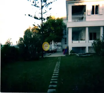 Μονοκατοικία 605τ.μ. προς πώληση φωτογραφία 2