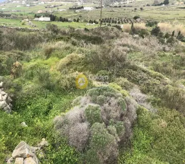 Parcel 5700m<sup>2</sup> for sale photo 4
