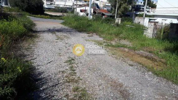 Residential 350m<sup>2</sup> for sale photo 7