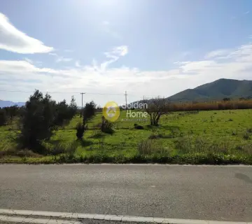土地 1431m<sup>2</sup> for sale photo 1