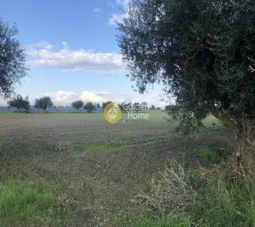 Parcel 11000m<sup>2</sup> for sale photo 2