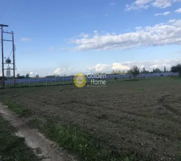 Parcel 11000m<sup>2</sup> for sale photo 6