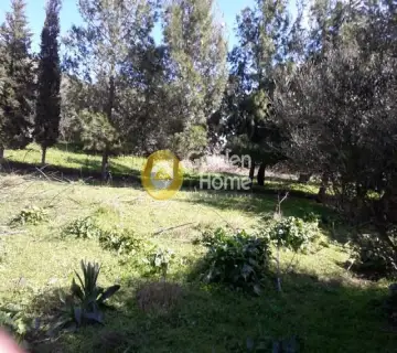 Residential 2700m<sup>2</sup> for sale photo 2
