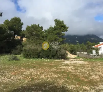Οικιστικό 1000τ.μ. προς πώληση φωτογραφία 2090228