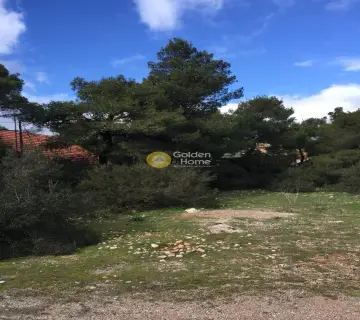 Οικιστικό 1000τ.μ. προς πώληση φωτογραφία 2090229