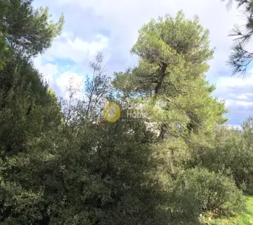 Οικιστικό 1000τ.μ. προς πώληση φωτογραφία 2090230