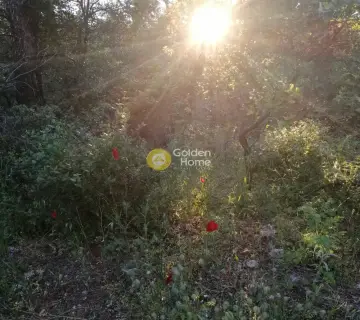 Οικιστικό 1000τ.μ. προς πώληση φωτογραφία 2106354