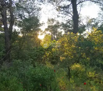Οικιστικό 1000τ.μ. προς πώληση φωτογραφία 2106355