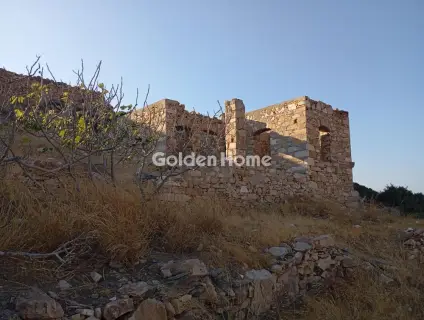 Οικιστικό 4732τ.μ. προς πώληση φωτογραφία 5593002