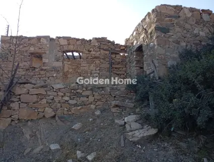 Οικιστικό 4732τ.μ. προς πώληση φωτογραφία 5593035