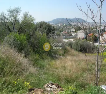 Residential 1256m<sup>2</sup> for sale photo 2