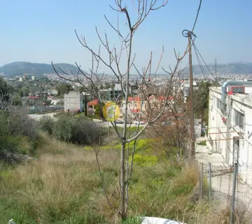 Residential 1256m<sup>2</sup> for sale photo 3