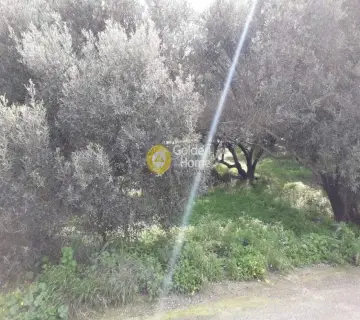 Residential 1500m<sup>2</sup> for sale photo 1