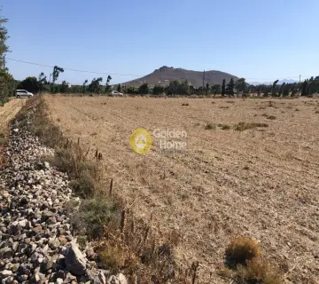 Residential 10800m<sup>2</sup> for sale photo 3