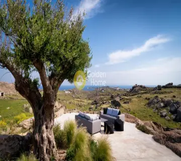 Golden Home Property Image