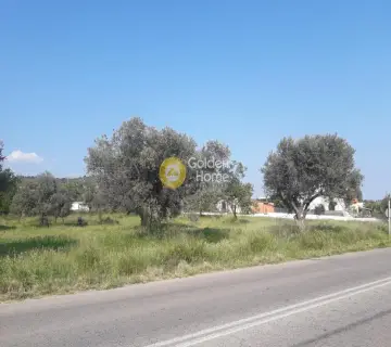 Residential 20000m<sup>2</sup> for sale photo 2096287