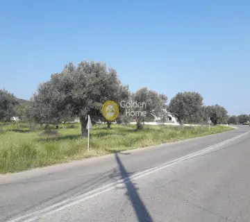 Residential 20000m<sup>2</sup> for sale photo 2096288